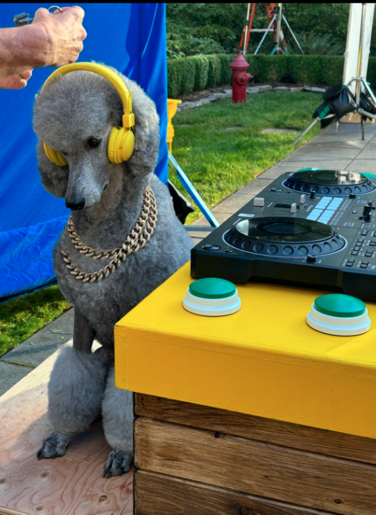 Screen Shot 2025-02-27 at 6.56.28 PM.png