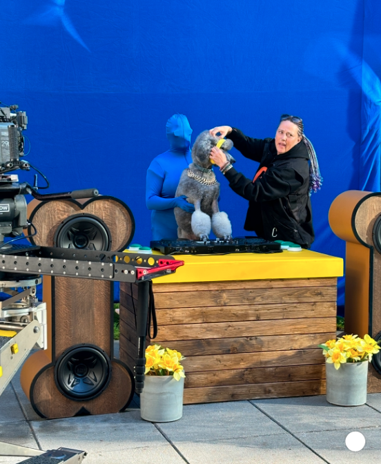 Screen Shot 2025-02-27 at 6.38.39 PM.png