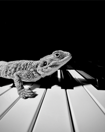 Screen Shot 2023-01-21 at 10.20.31 AM.png