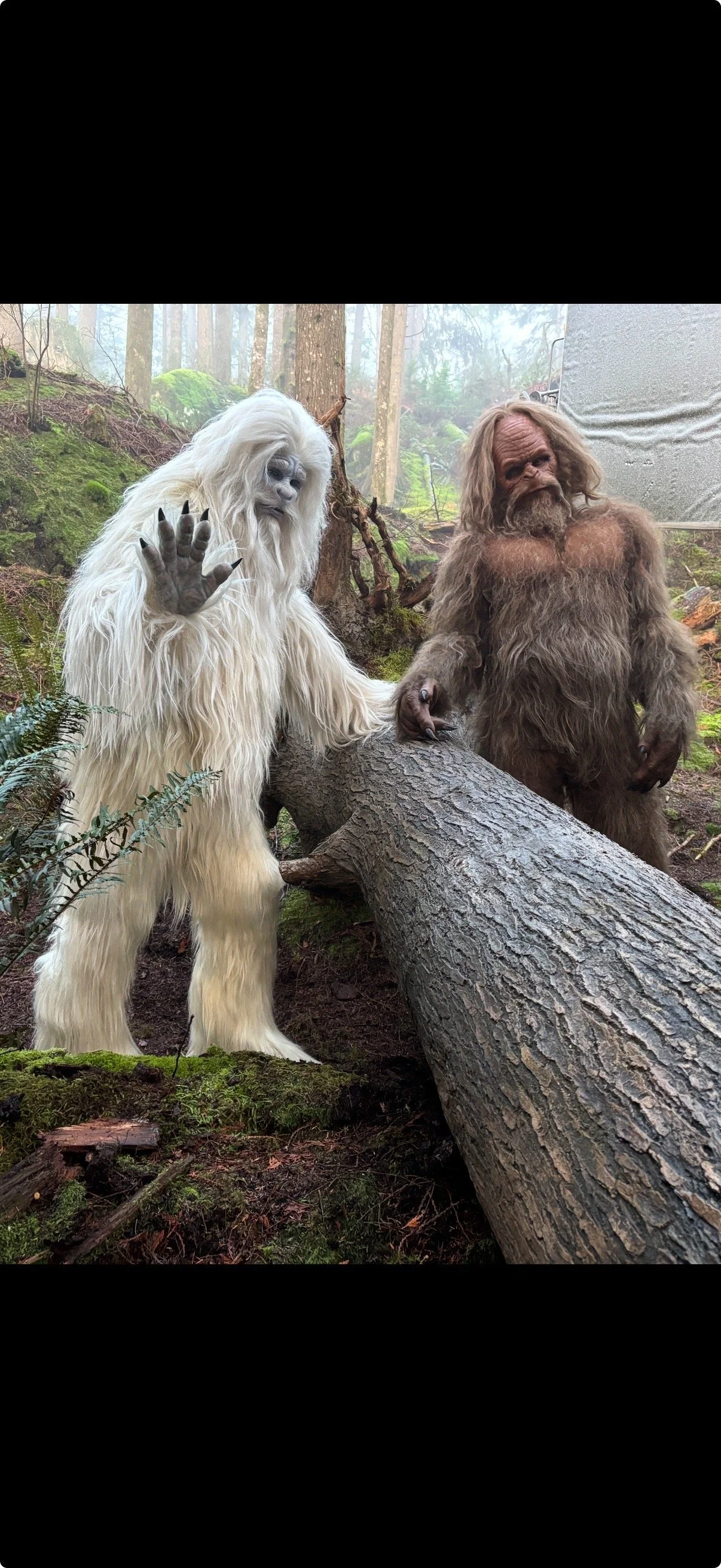 Screenshot 2024-12-04 at 3.18.43 PM.jpeg