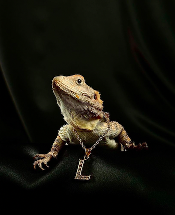 Screen Shot 2023-01-21 at 10.20.00 AM.png