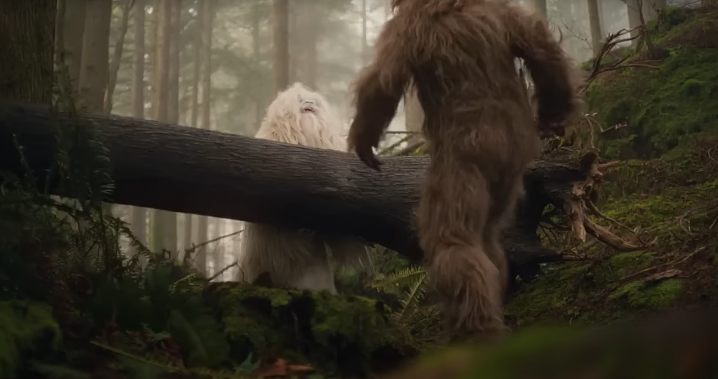 Screen Shot 2025-09-26 at 7.26.00 AM.png