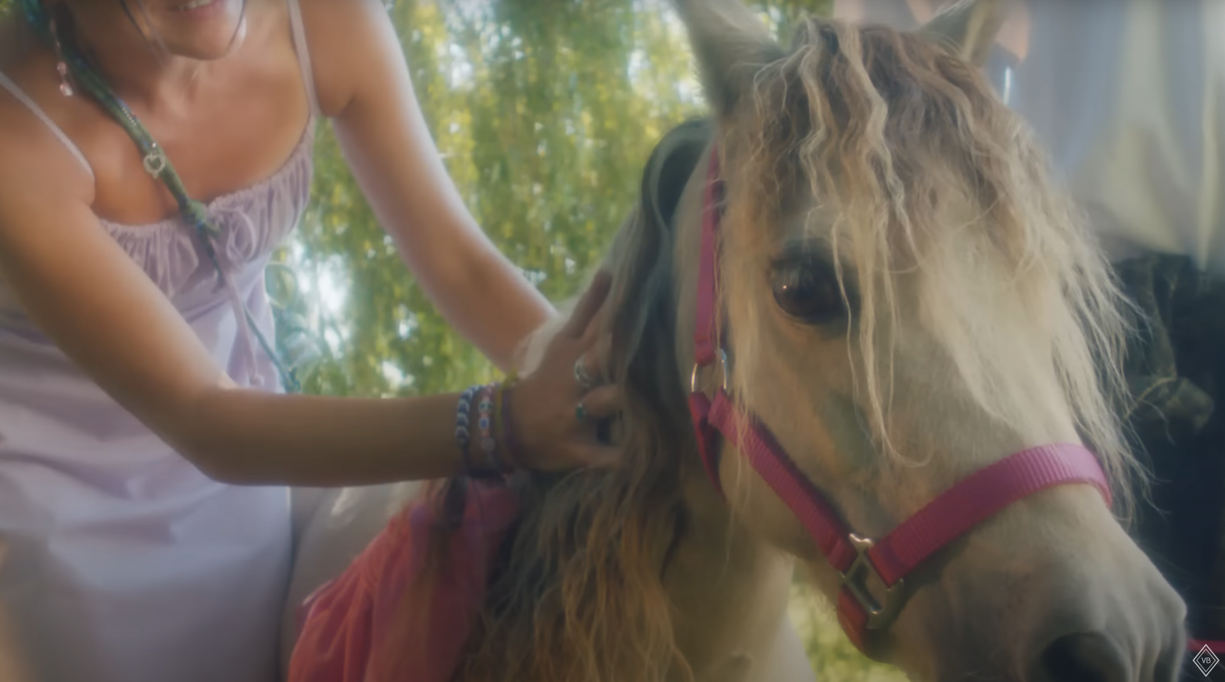 Screen Shot 2025-09-27 at 5.49.12 PM.png