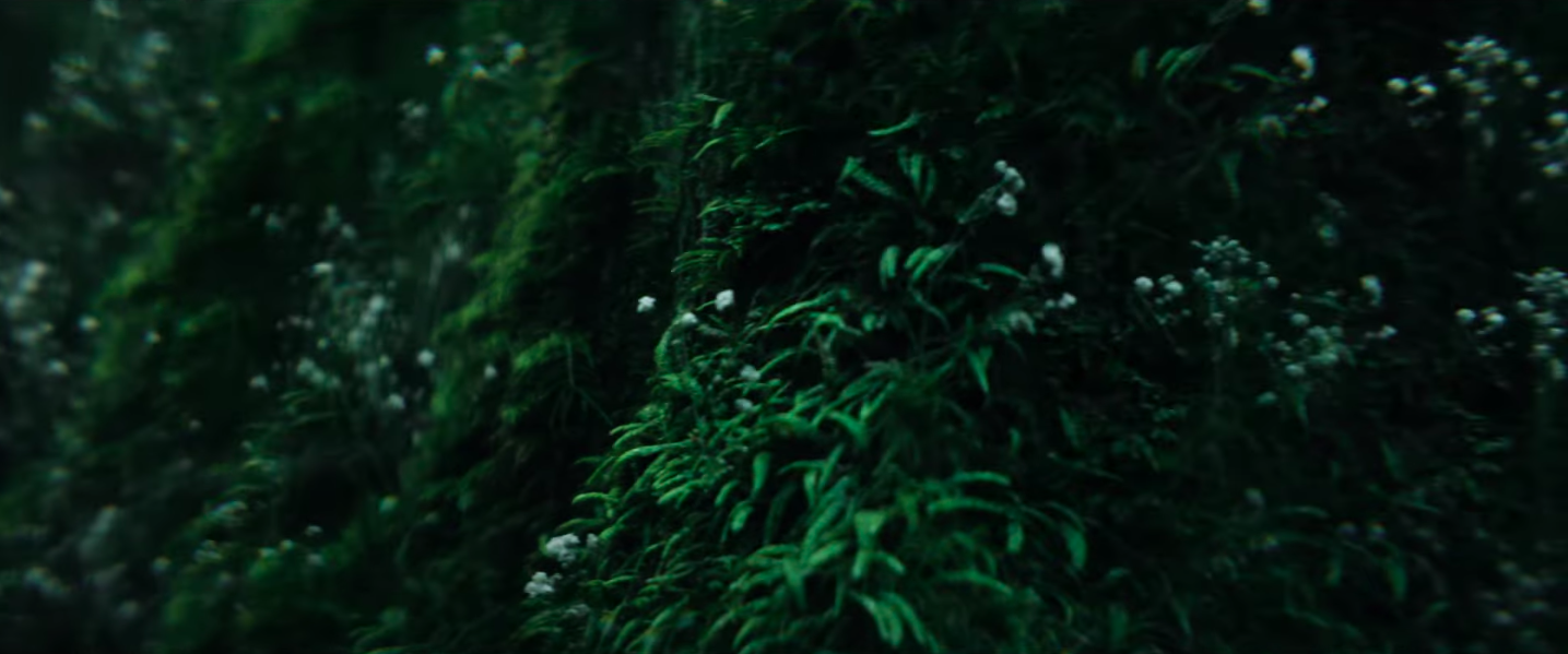 Screen Shot 2023-01-21 at 11.07.06 AM.png