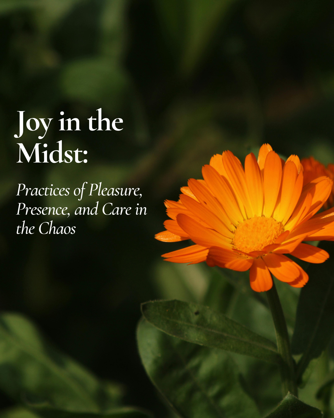 Joy in the Midst: Practices of Pleasure, Presence, and Care in the Chaos
