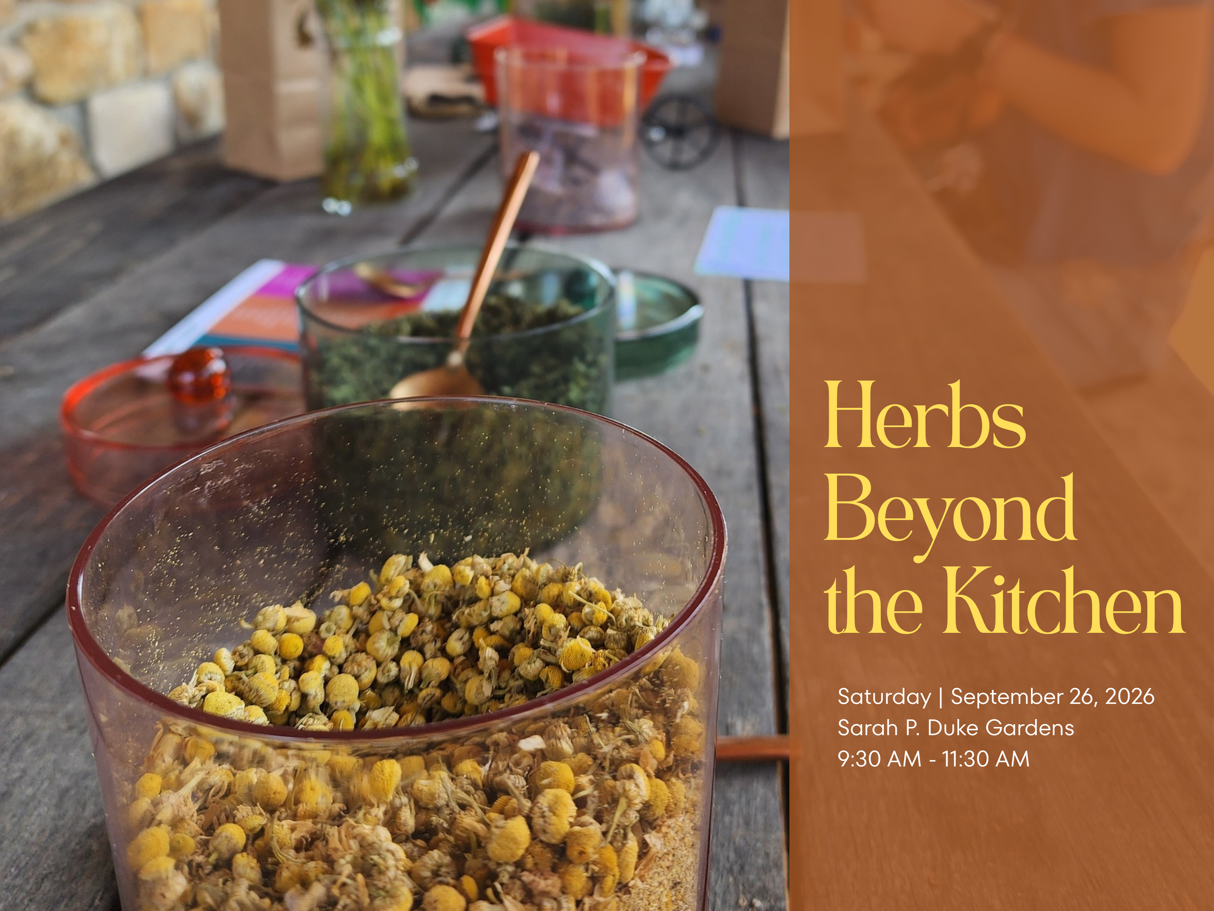 Herbs Beyond the Kitchen