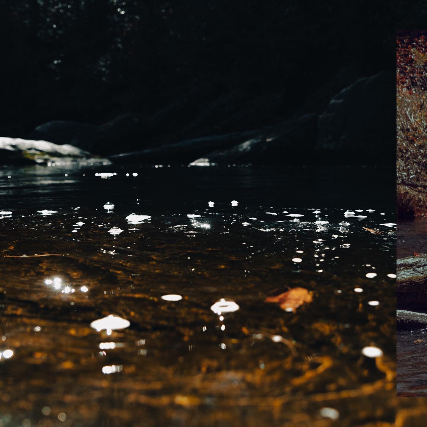 down by the river.

These are some of my favorite shots from the week. The tones and the mood. 🤗 yum.

It&rsquo;s honestly lowkey giving Busch Ad in the last photo. @busch are trying to hire me?! lol

📷: @dezivision 

#photooftheday #naturephotogra