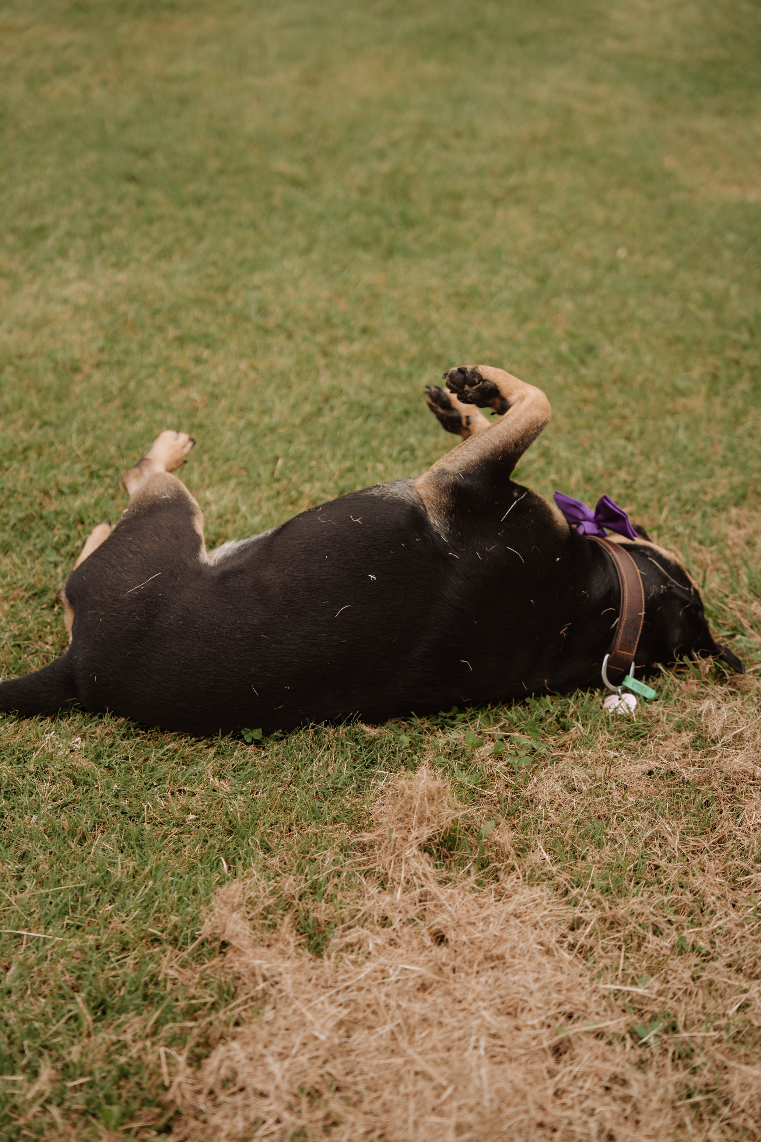 G & H Wedding - 263.jpg