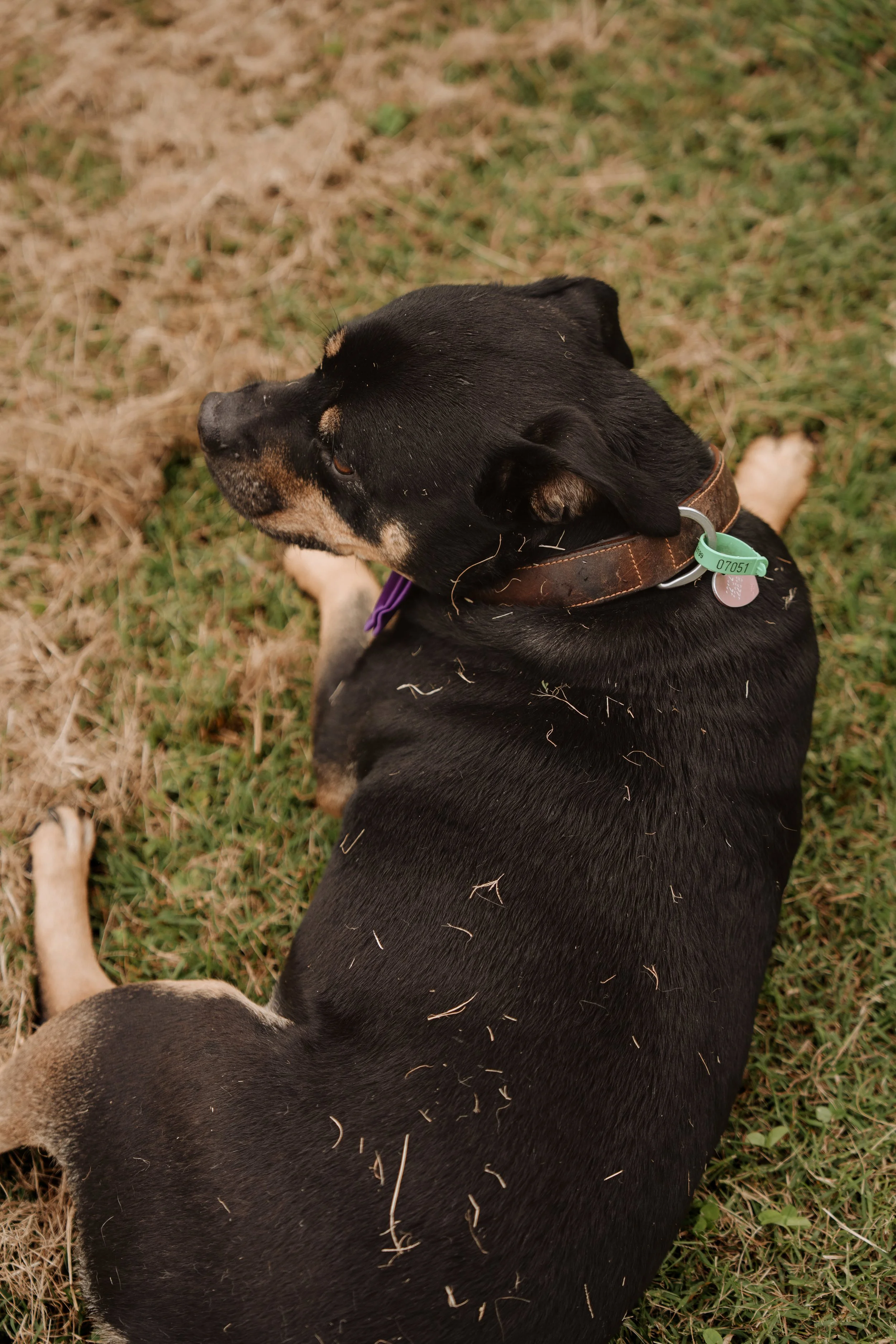 G & H Wedding - 260.jpg