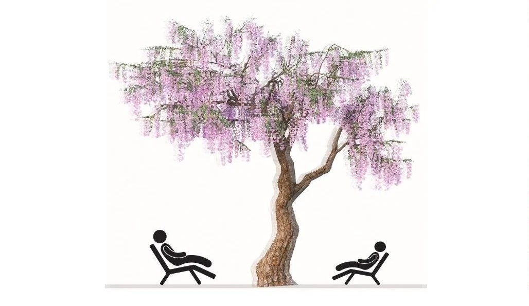 A wisteria tree illustration and comfortably spaced seating symbolize the connection between nature, personal space, wellness, and thoughtful healthcare design