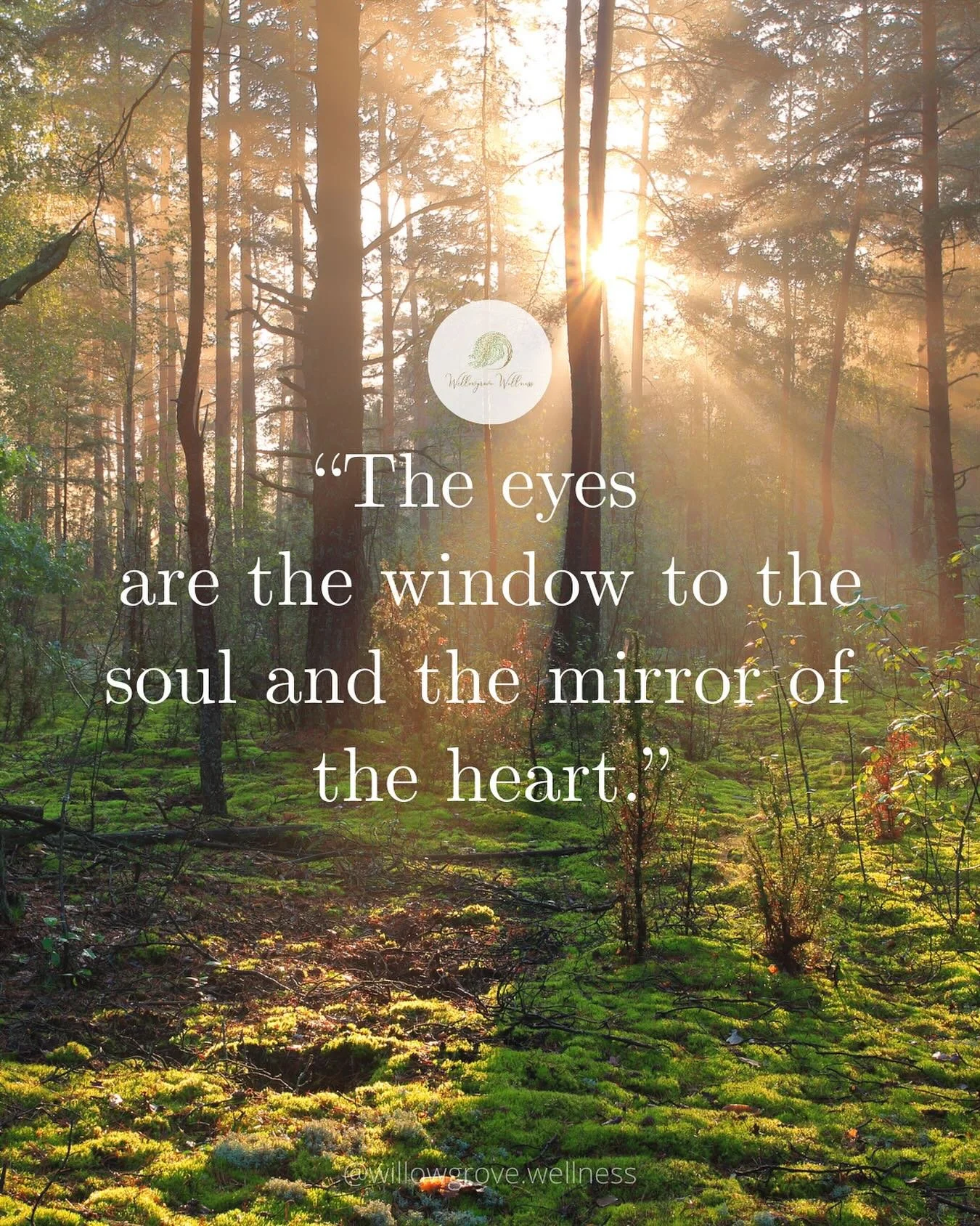 The eyes often say what words cannot.

I remember hearing this as a child:
&ldquo;The eyes are the window to the soul and the mirror of the heart.&rdquo; 💖

It has always stayed with me. There&rsquo;s something about a gaze that carries truth, raw h