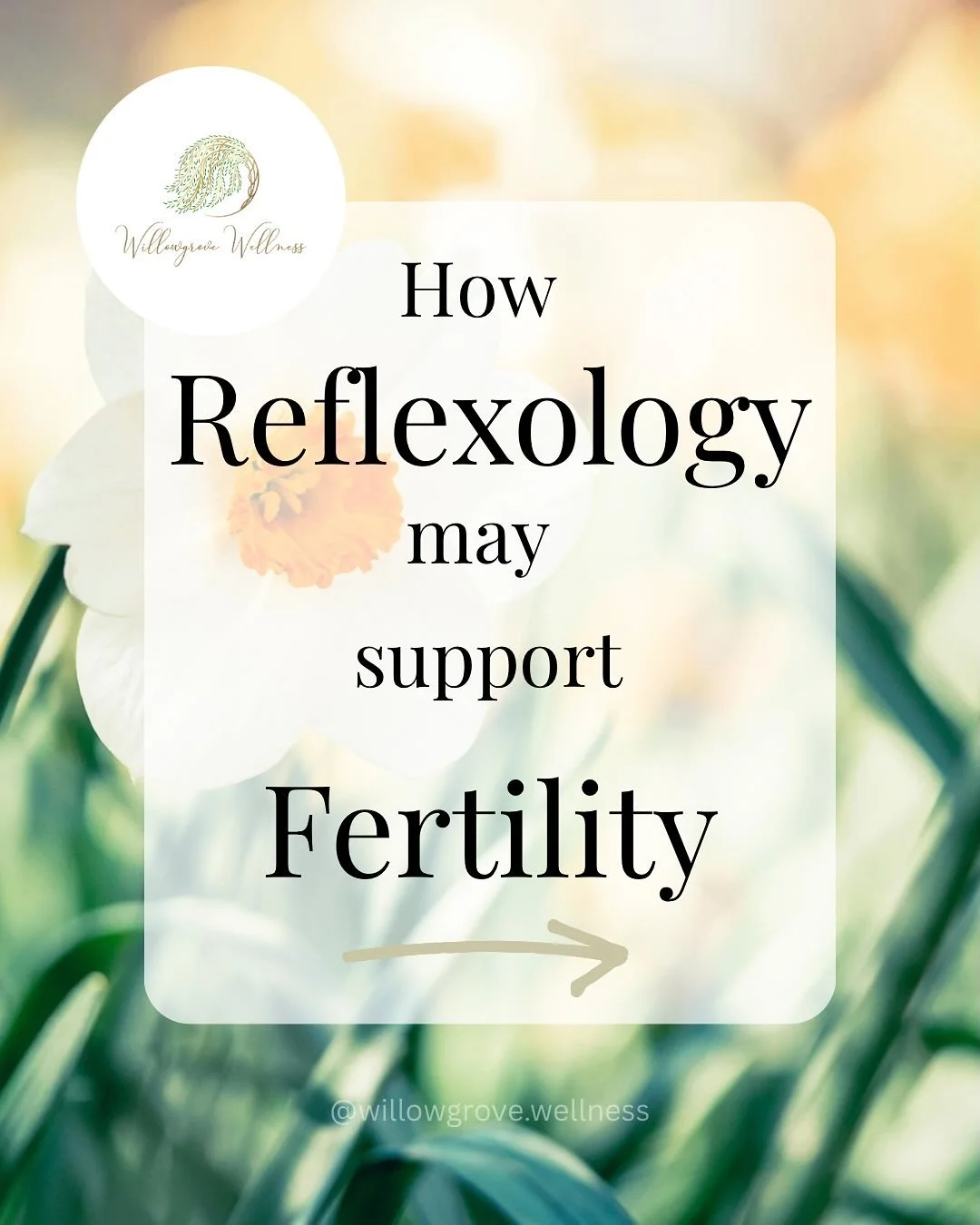 Fertility support can involve more than tests and timelines.

Stress, circulation, hormones, and nervous system balance all play a role in how the body prepares for pregnancy. Reflexology offers gentle support to help the body relax, restore balance,