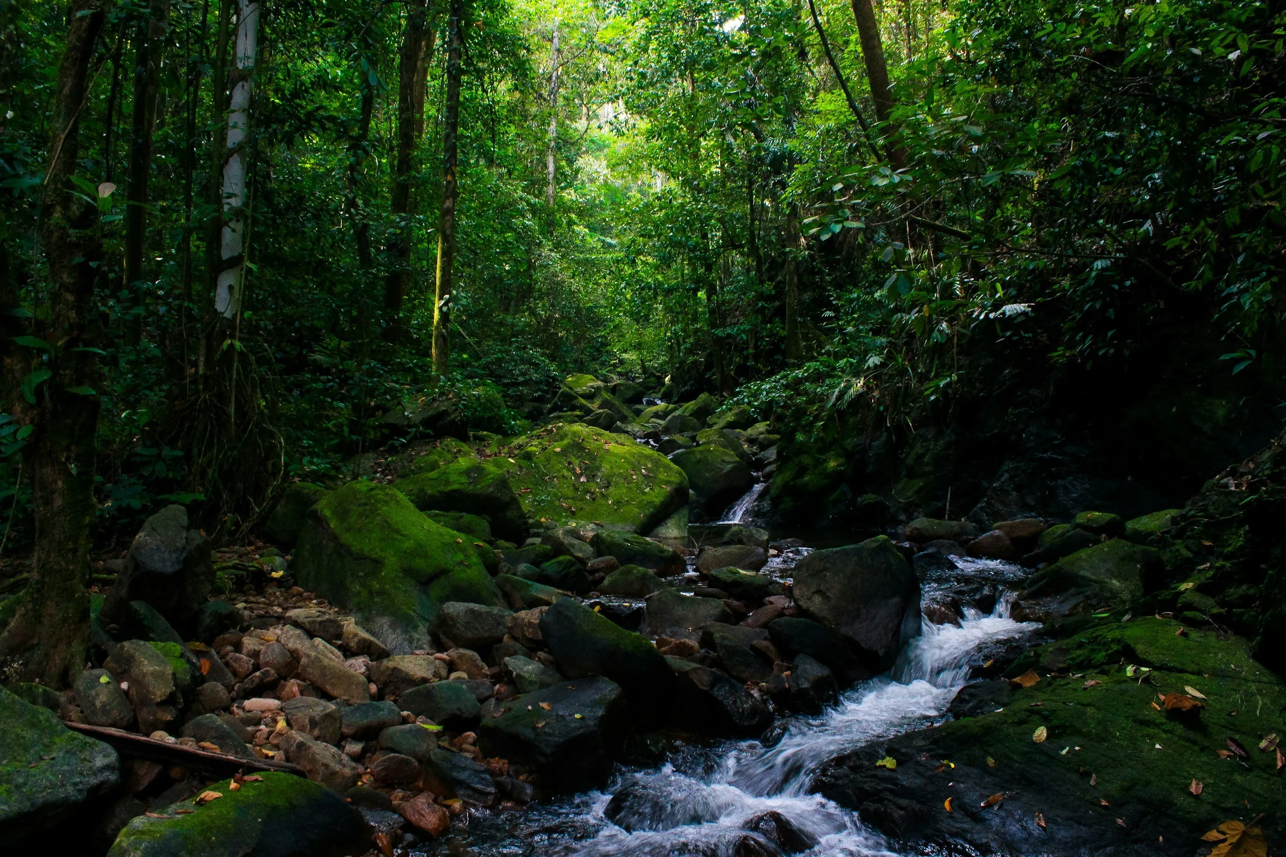 lymphatic drainage Tucson AZ