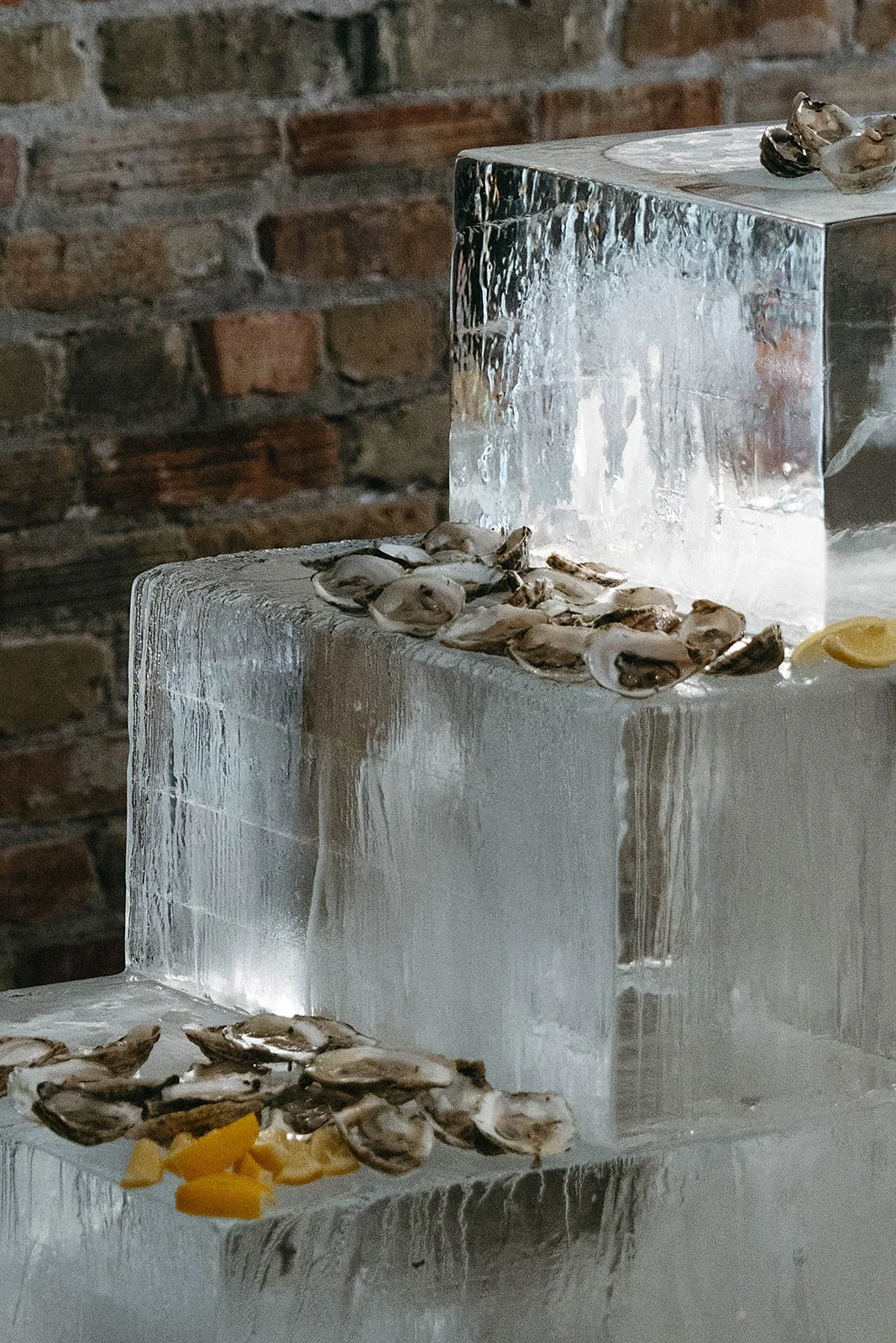 Steph & Fuller_Previews_Day 2-12_websize.jpg