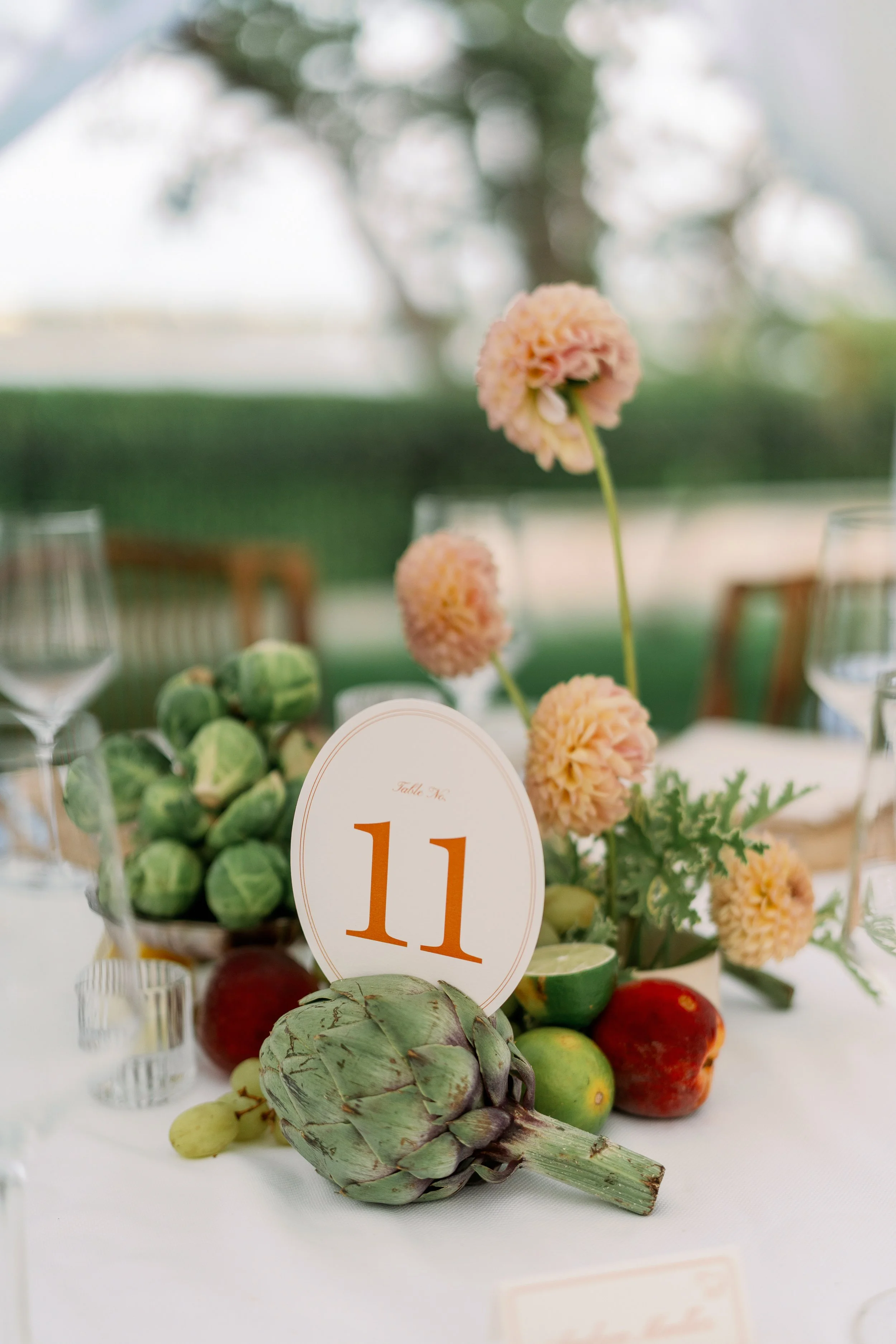 maritwilliamsphoto-404446.jpg