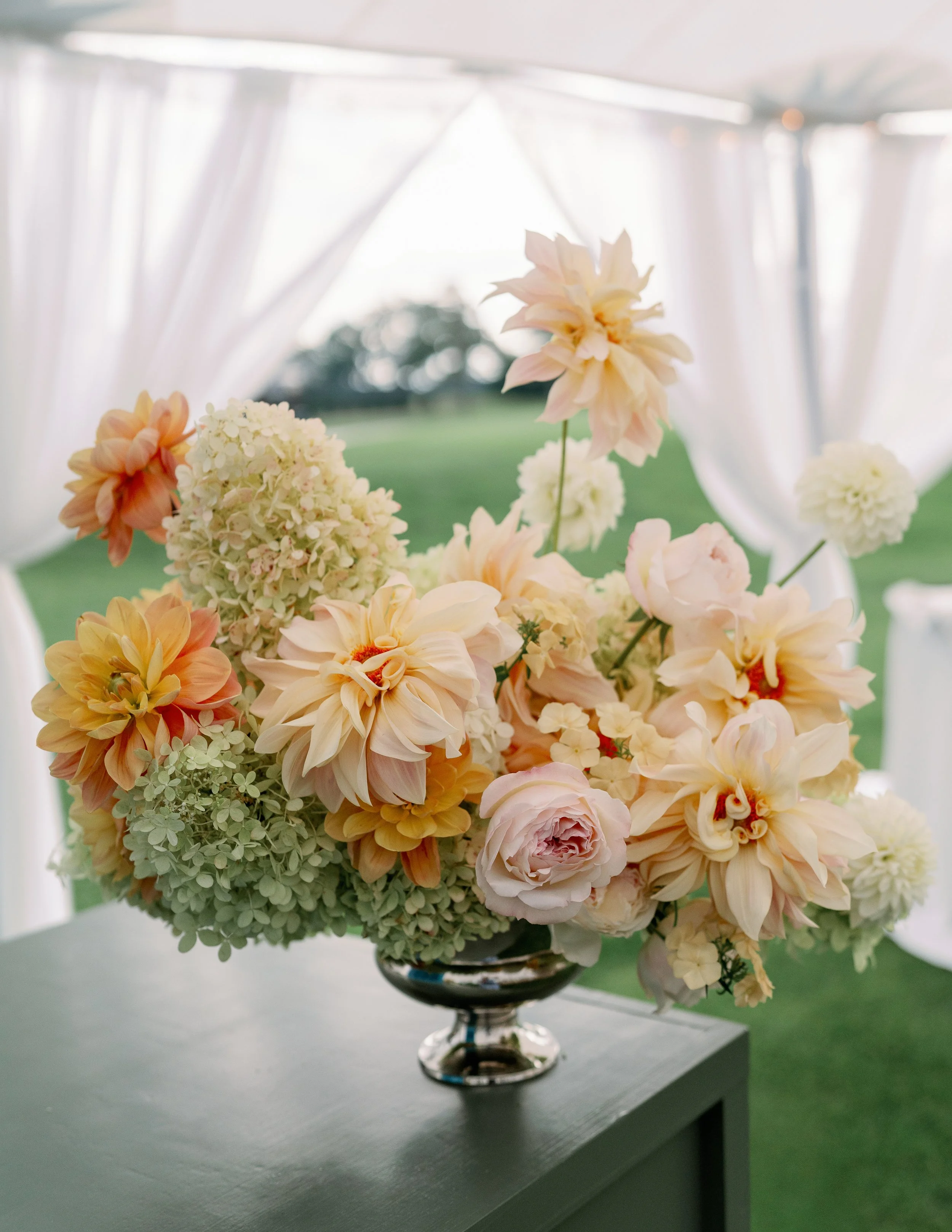 maritwilliamsphoto-05632.jpg