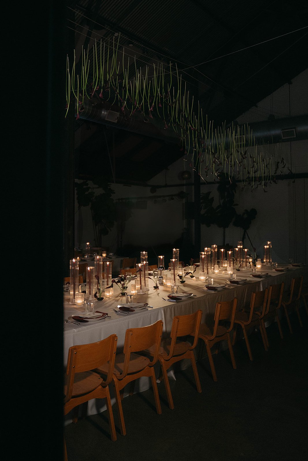 Steph & Fuller_Previews_Day 2-29_websize.jpg