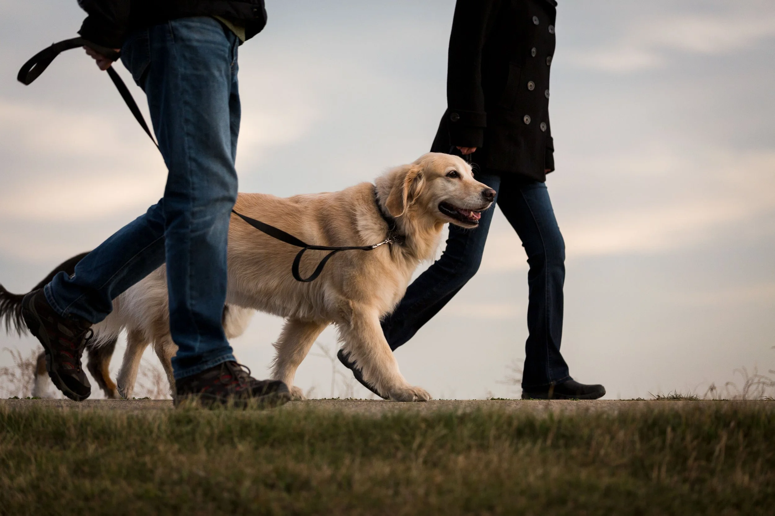 ALISON_LAPCZUK-CANMORE-FAMILY-PHOTOGRAPHER_81A9067-28.jpg