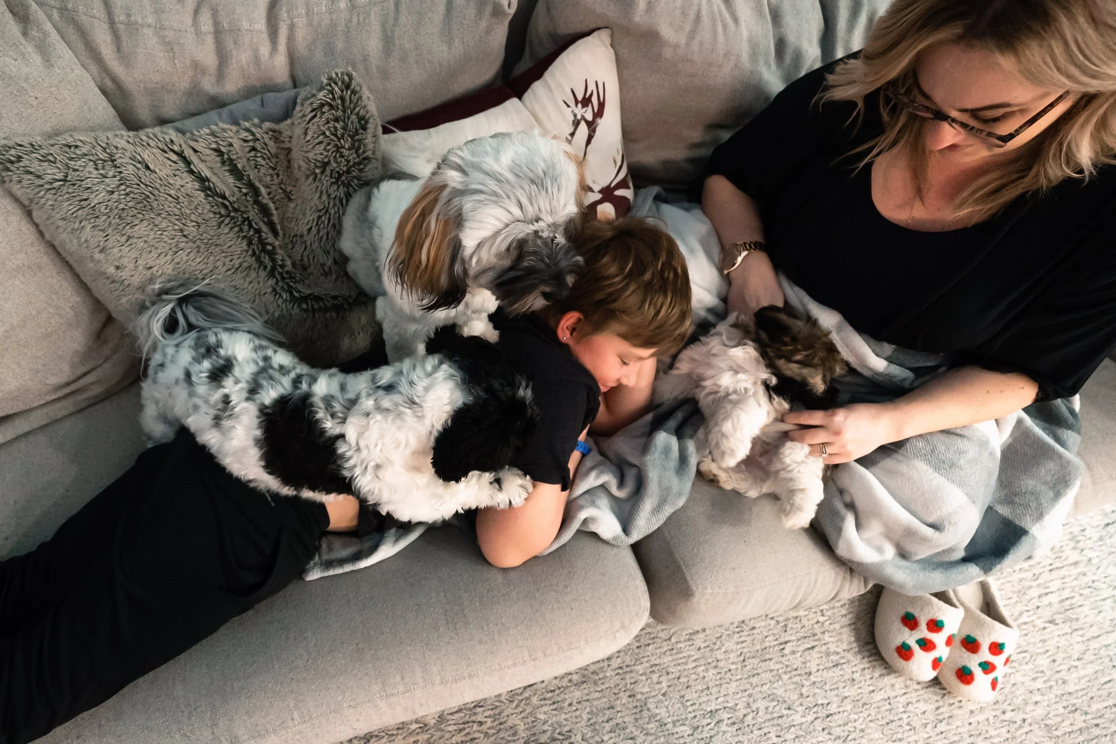 boy happily covered in his three dogs with his mom by his side on the couch