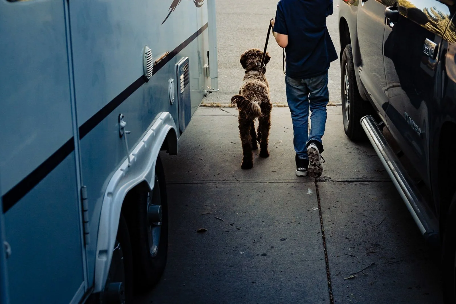boy walking dog down driveway