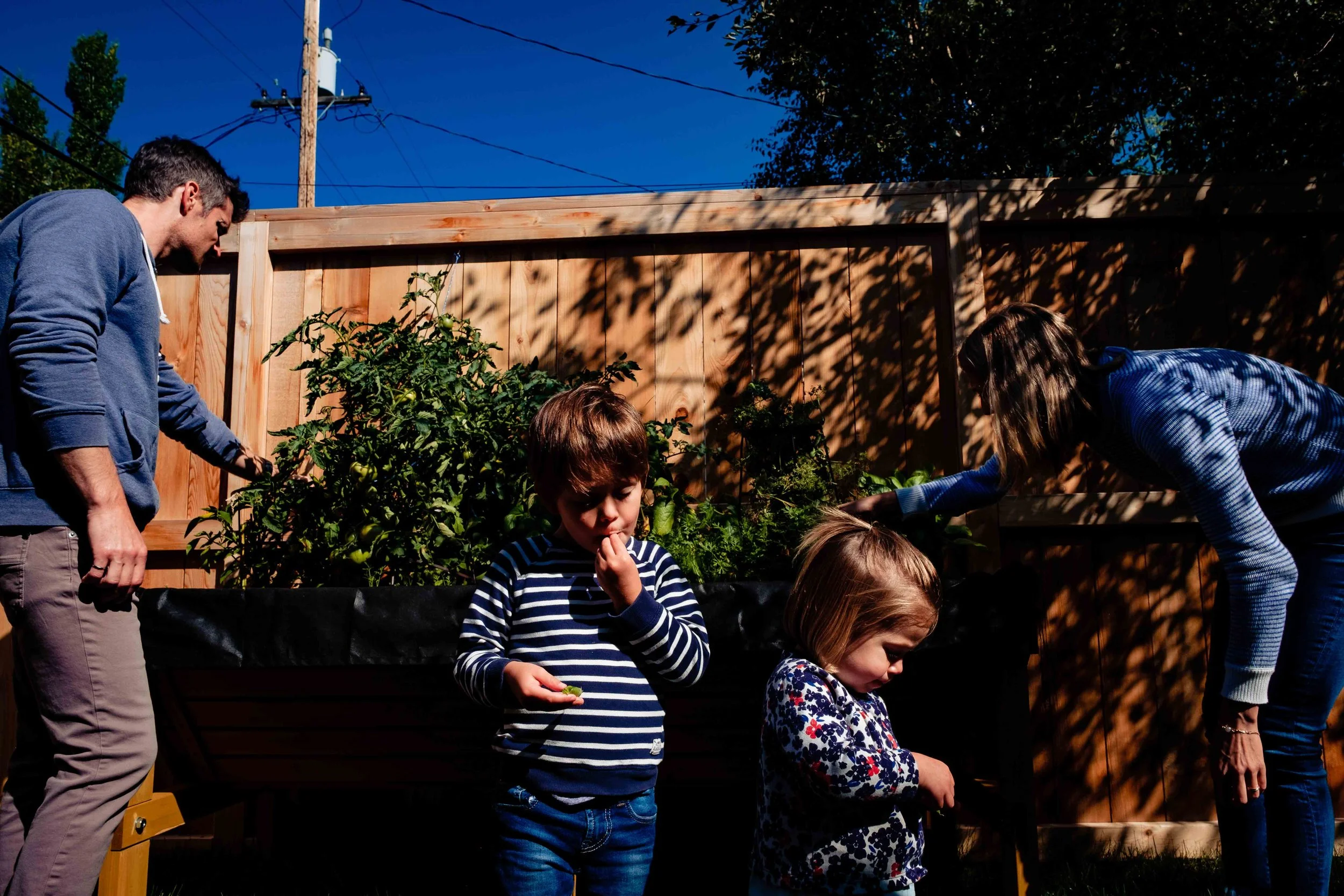 ALISON_LAPCZUK-CALGARY-FAMILY-PHOTOGRAPHERALISONLAPCZUK_WEB_-8963.jpg