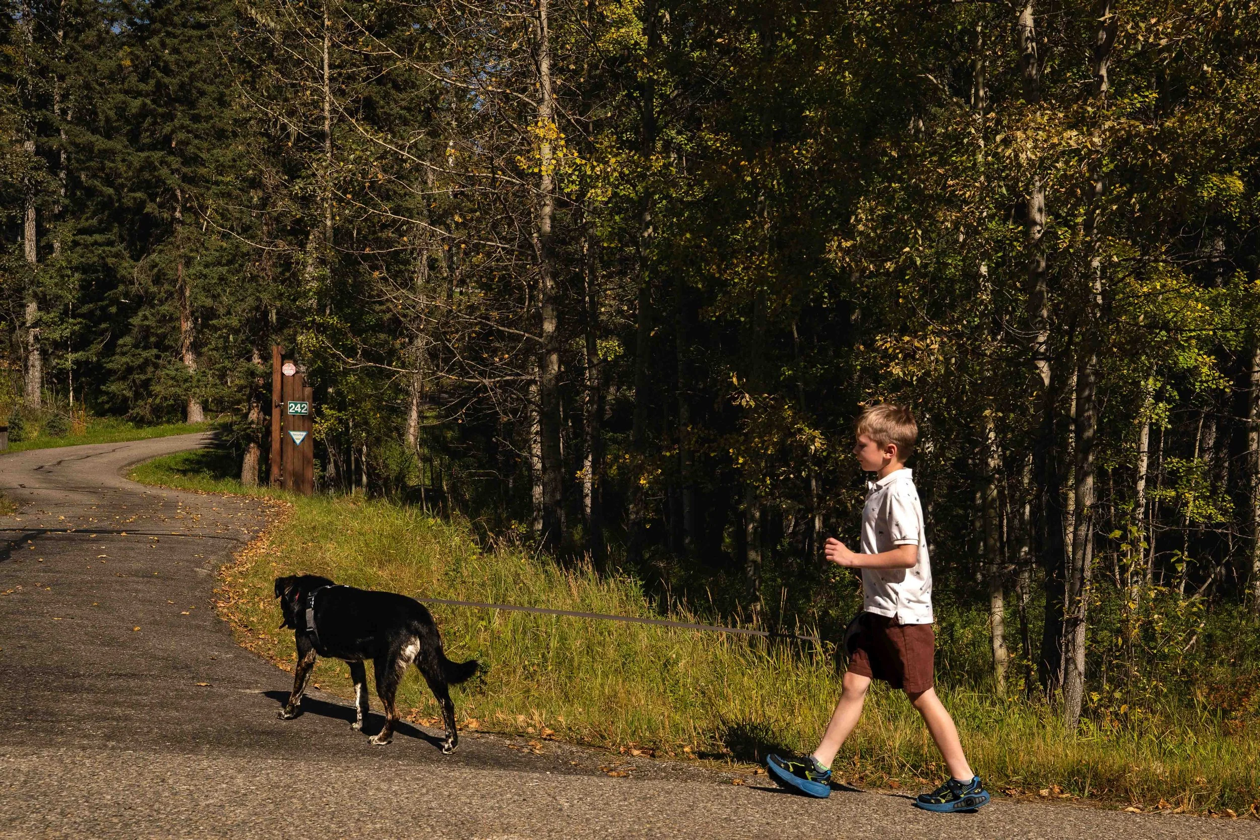 ALISON_LAPCZUK-CALGARY-FAMILY-PHOTOGRAPHERALISON-LAPCZUK-PHOTOGRAPHY_DSC9552.jpg