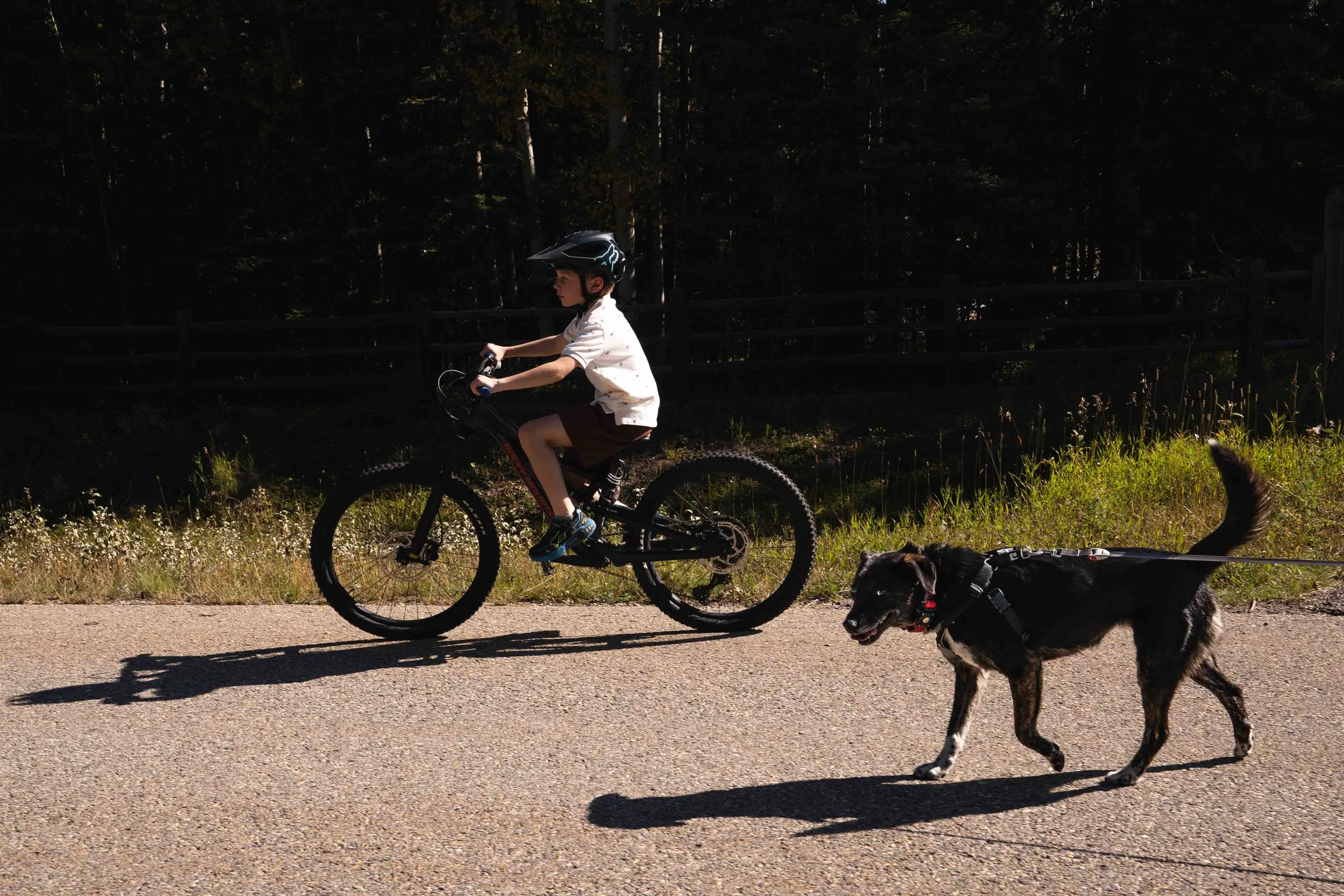 ALISON_LAPCZUK-CALGARY-FAMILY-PHOTOGRAPHERALISON-LAPCZUK-PHOTOGRAPHY_DSC9230.jpg