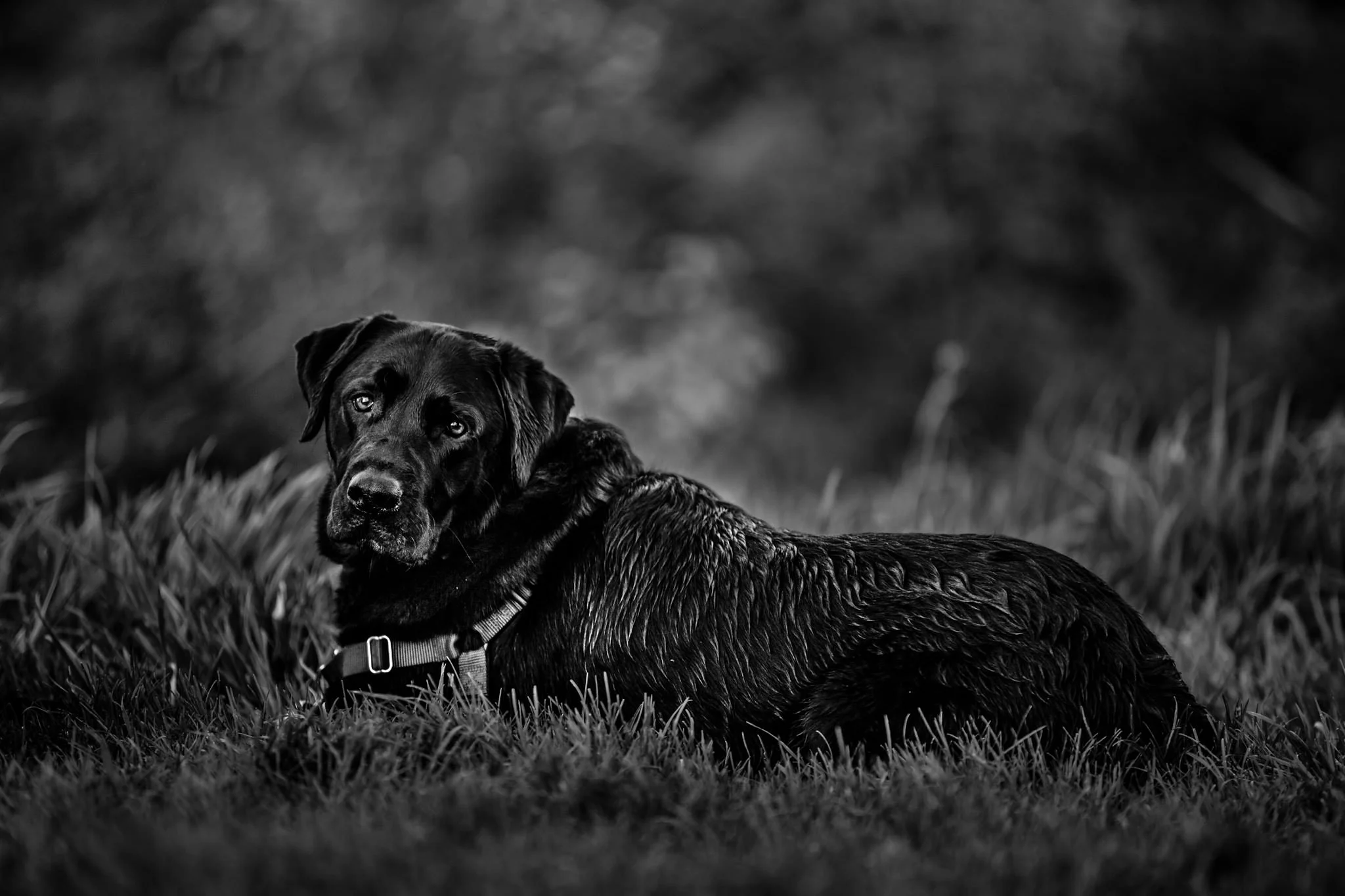 Alison-Lapczuk-Photography-Buys-94.jpg