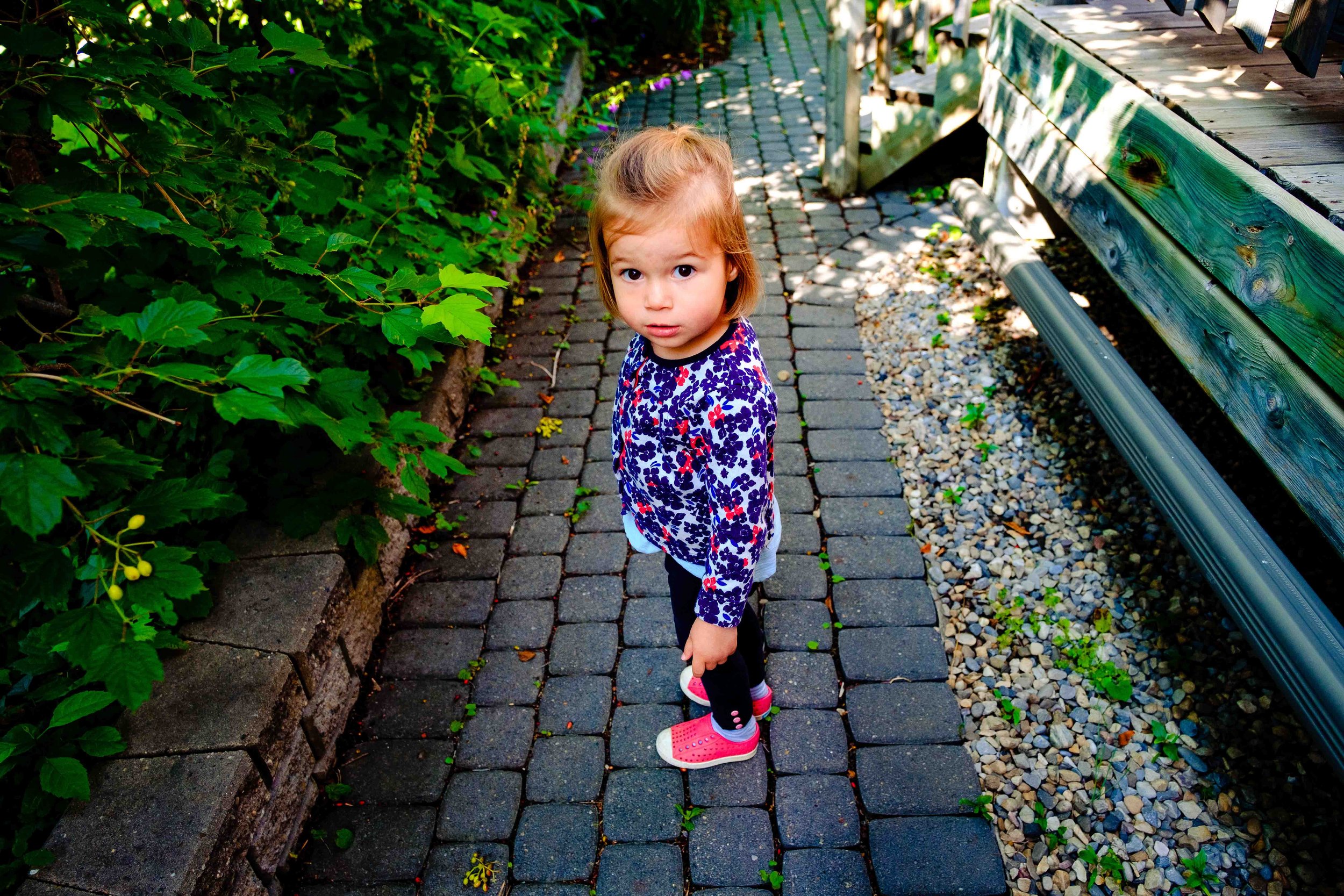 ALISON_LAPCZUK-CALGARY-FAMILY-PHOTOGRAPHERALISONLAPCZUK_WEB_-8883.jpg