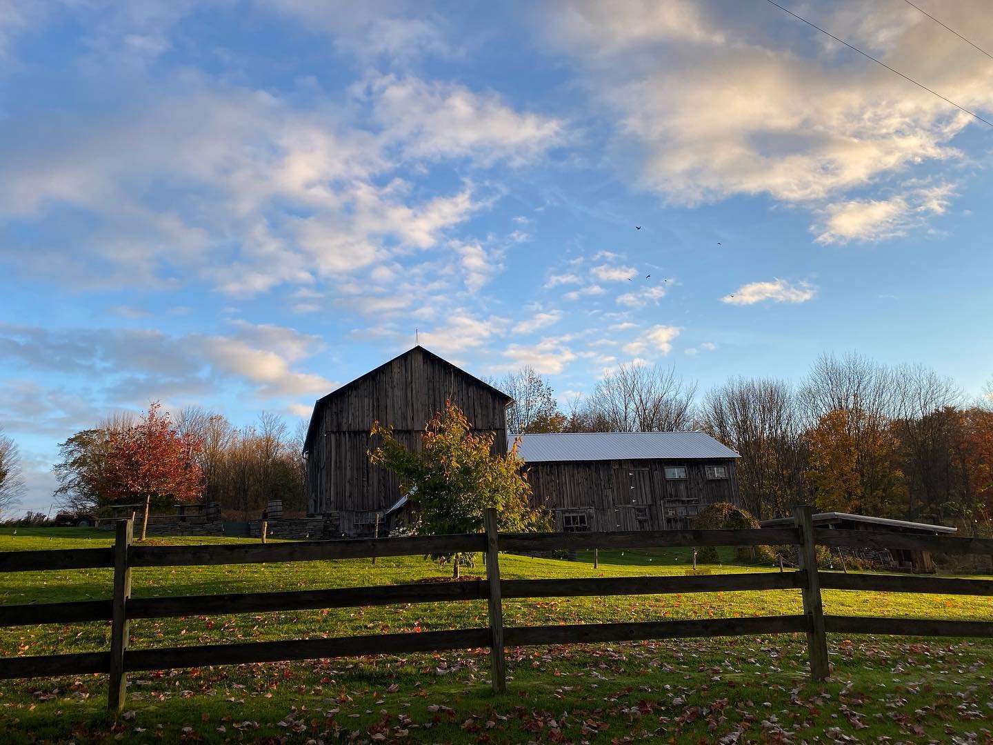 Fox Hill Farm in the Fall.jpg