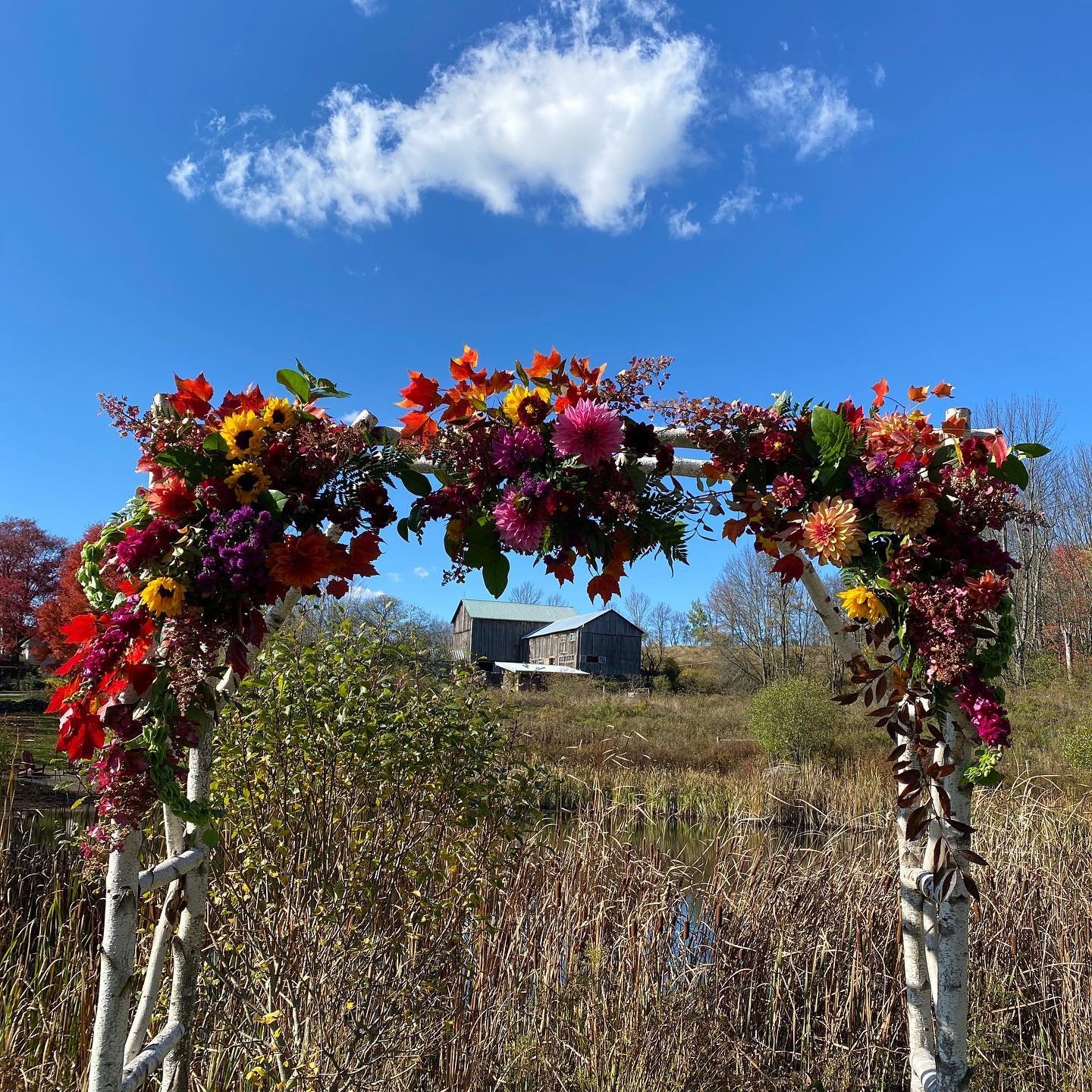 Wedding Arch at Fox Hill Farm in Honesdale PA.jpg