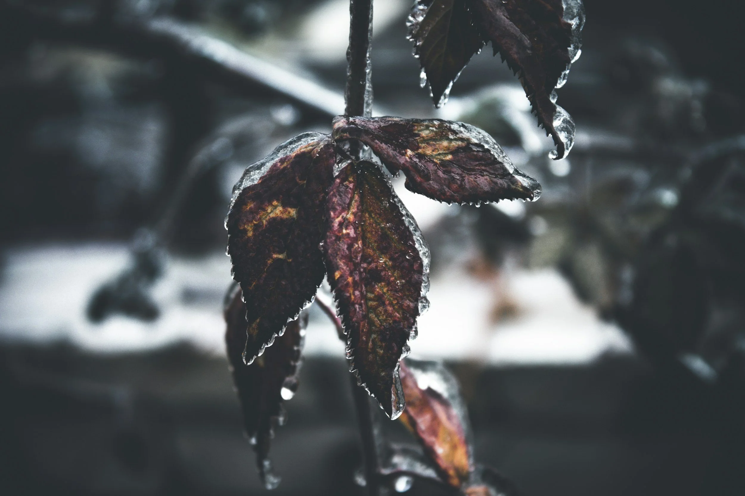 Tips for Managing and Preventing Seasonal Depression
