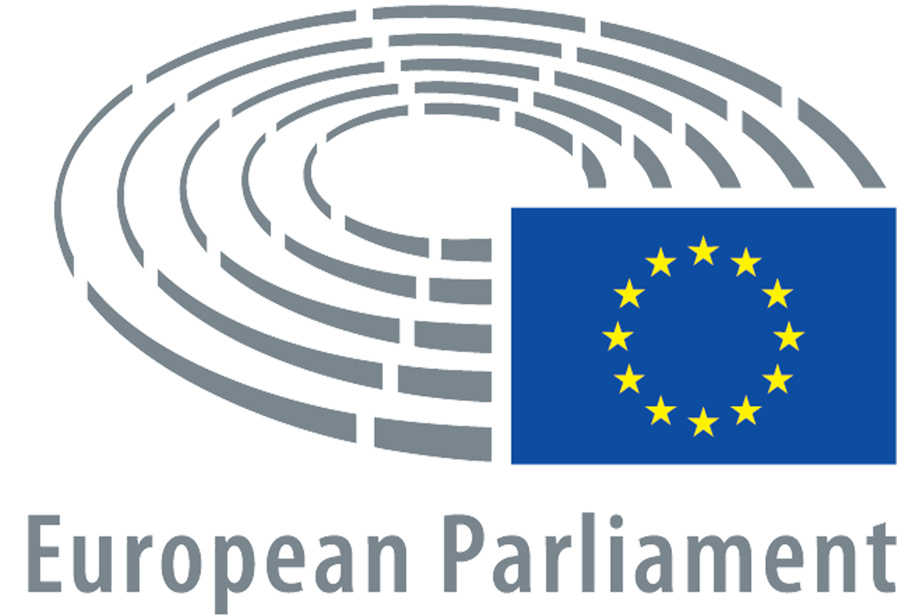 Vivien Schmidt testimony before the European Parliament