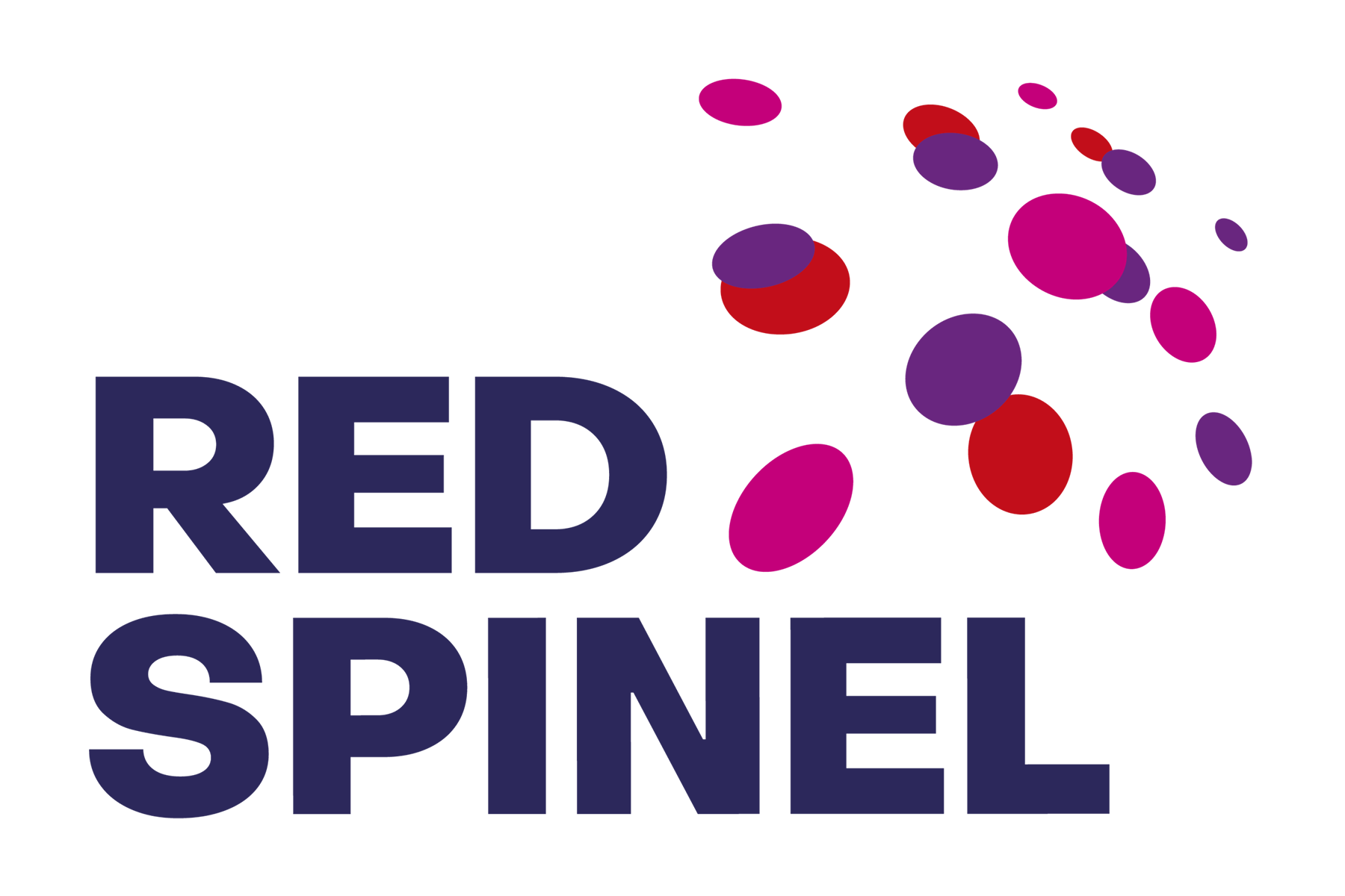 Book Talk at Free University of Brussels