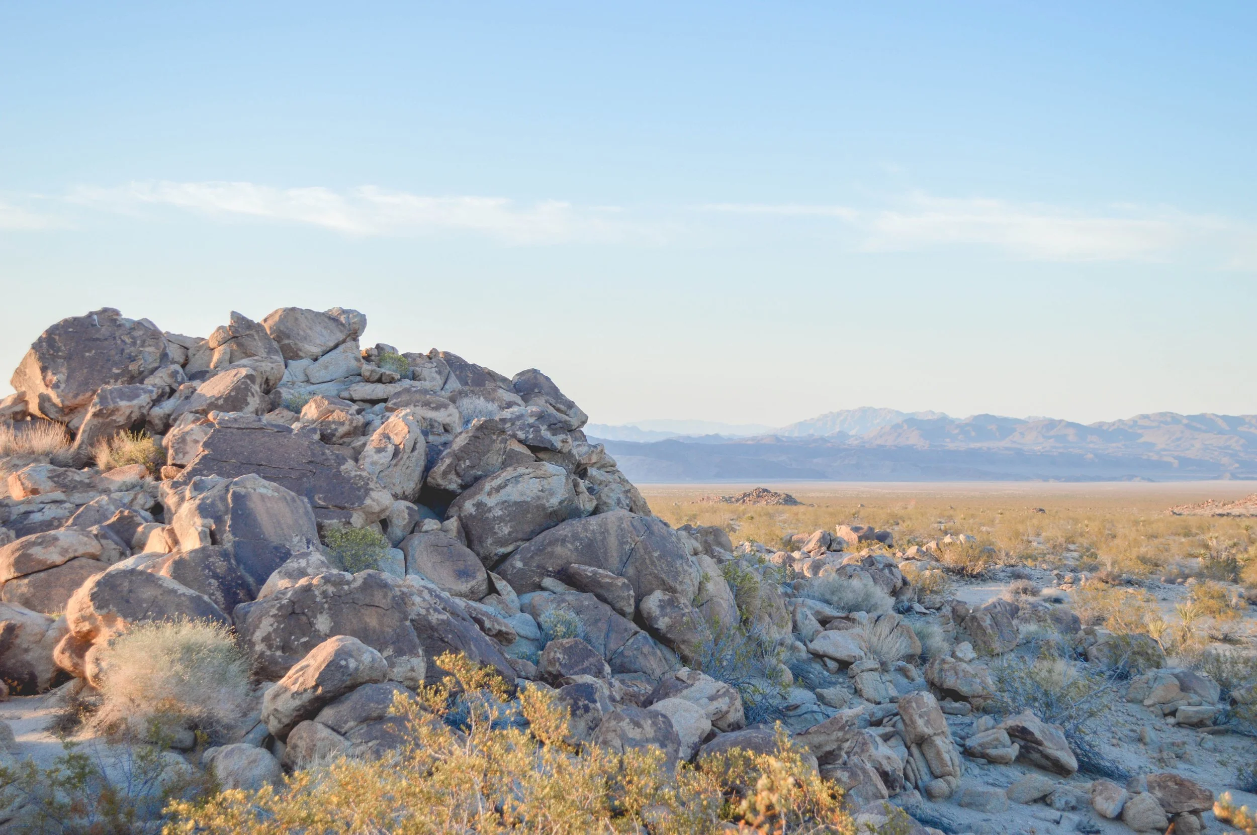 DSC_0114 5.03.32 PM.jpg