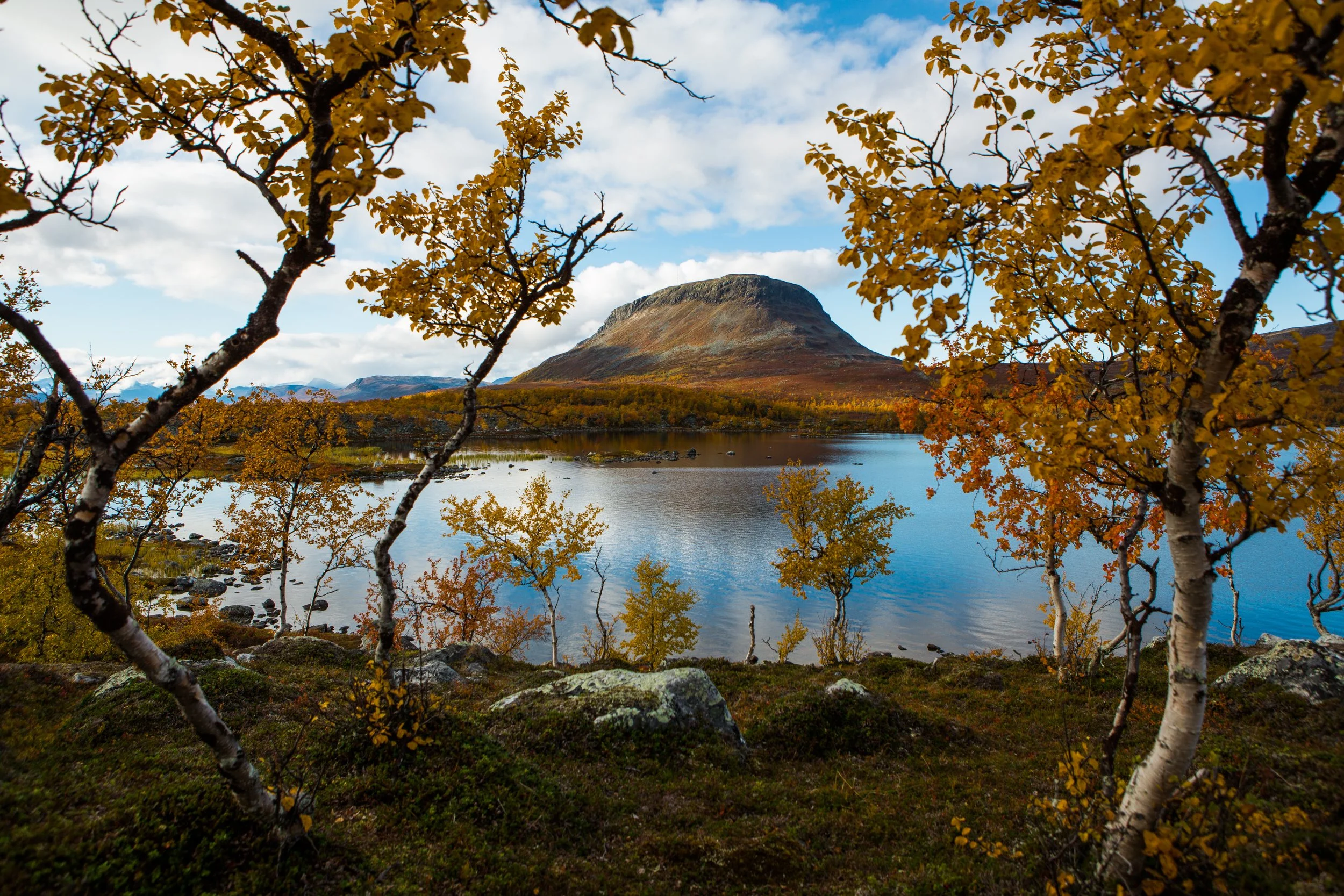 CAHKAL_NATURE_AUTUMN_by-tero-repo_6.jpg