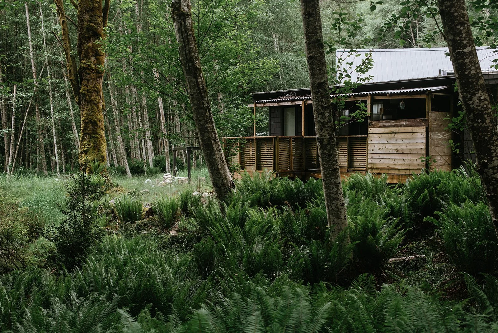 Nectar Yoga Moonstone Cottage Vancouver British Columbia Canada 07_2022 @laurazekephotography.jpg
