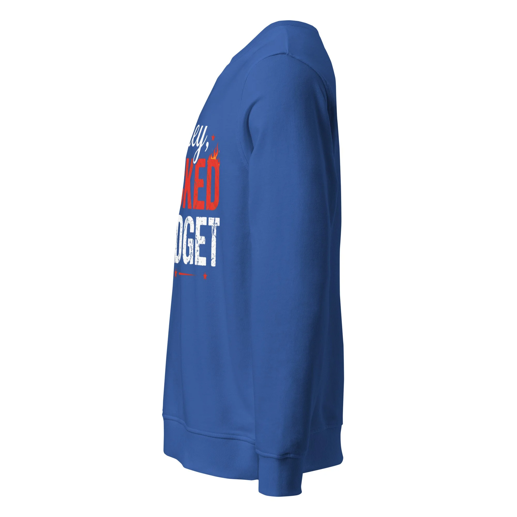 unisex-organic-sweatshirt-royal-blue-left-69b094d58be52.jpg