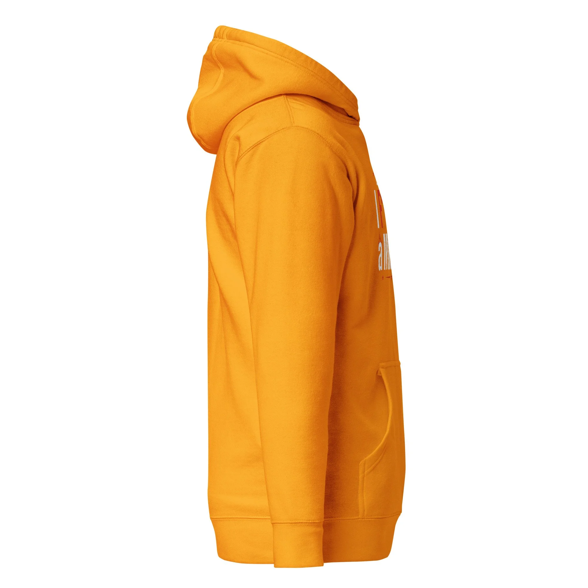 cotton-heritage-m2580-i-unisex-premium-pullover-hoodie-team-gold-right-69b0978664bf0.jpg