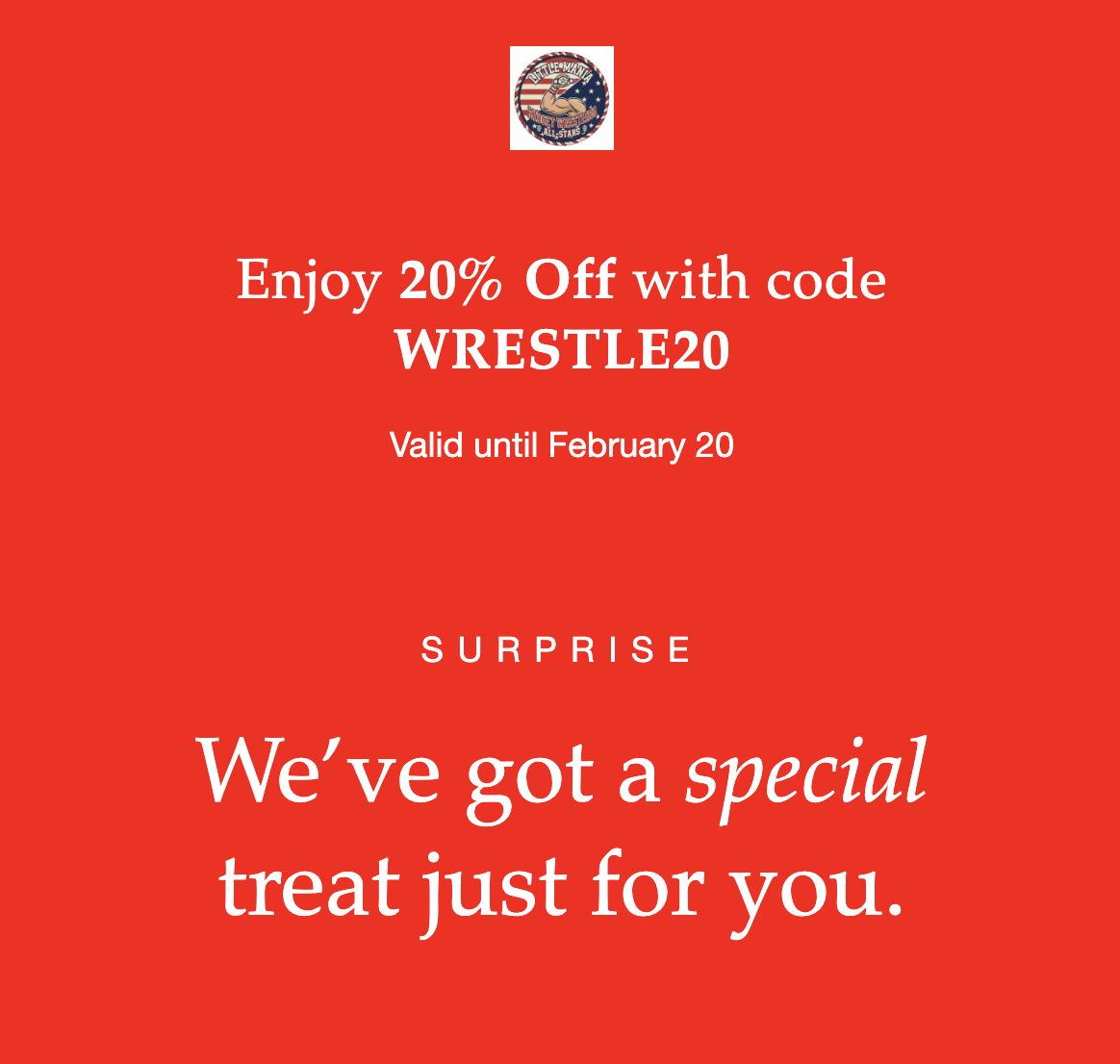 Save 20% on any order over $299.00.