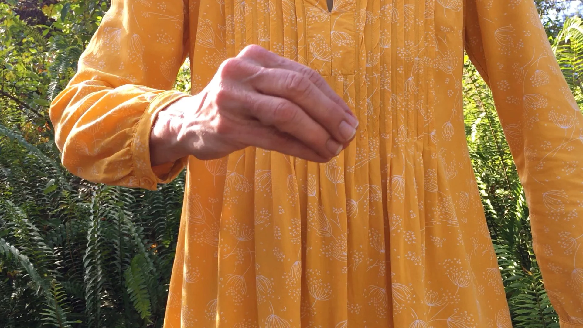 6 Vishnu Therapy - VT 4a - 2b - VT - check for pulse - Crane Beak.jpg