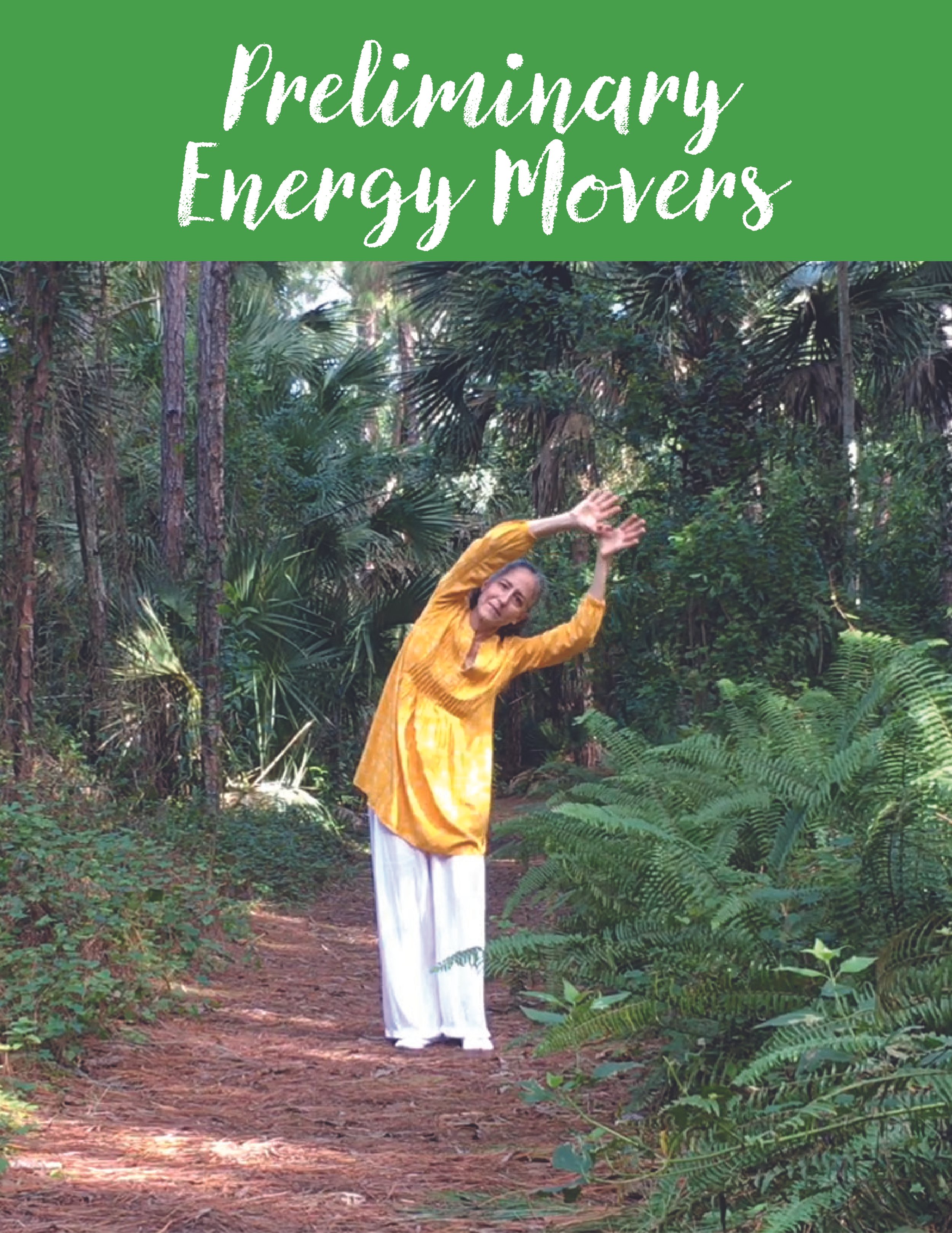 Preliminary Energy Movers - 8.5x11.jpg