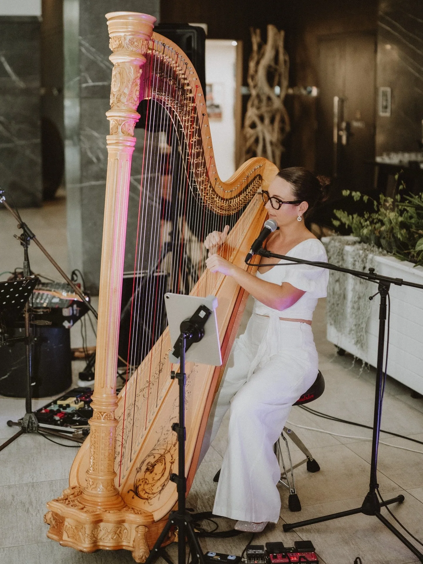 A spectacular evening at @pullmanportdouglas celebrating 20 years of this gorgeous resort. 

Solo harp for guest entrance followed by a unique performance of harp and didgeridoo by @stringtheory.sonic over the course of dinner 

📸 @matthew_evans_pho