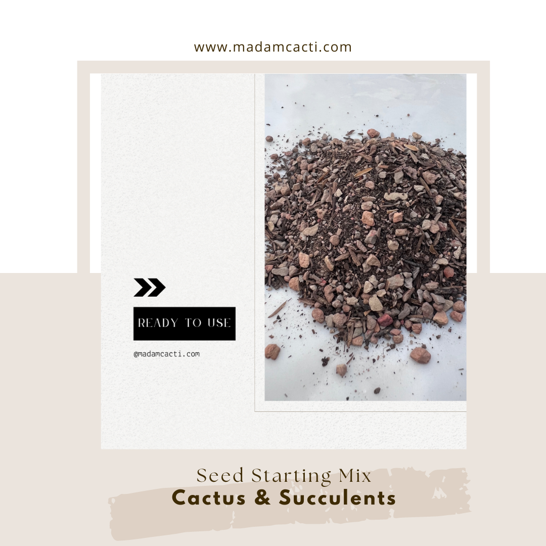 Seed Starting Mix For Cactus & Succulents 1Lb  Madam Cacti