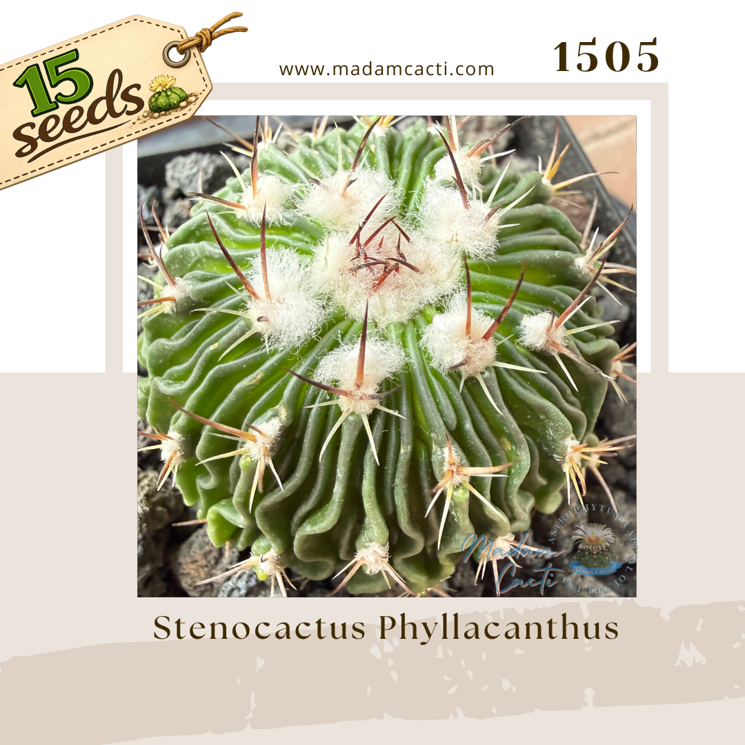 Seed Listing Other Rarities (3).png