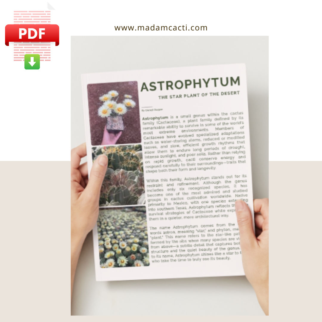 Astrophytum The Star of the Desert : A Guide To The Six Native Species
