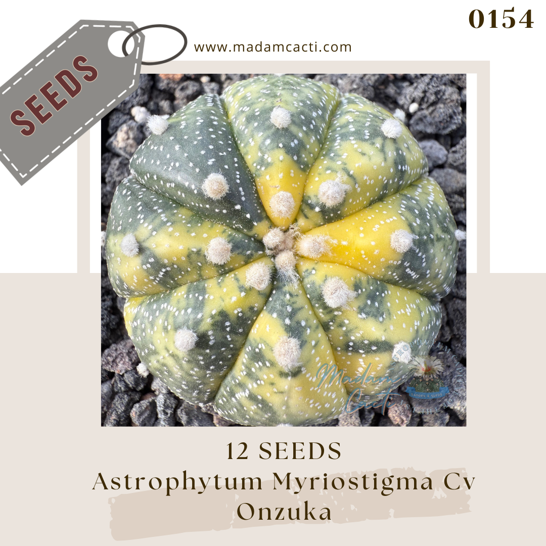 Seeds (10).png