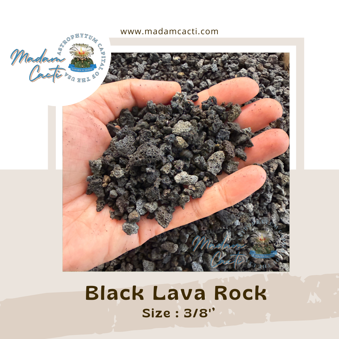 Black Lava Rock (3/8")