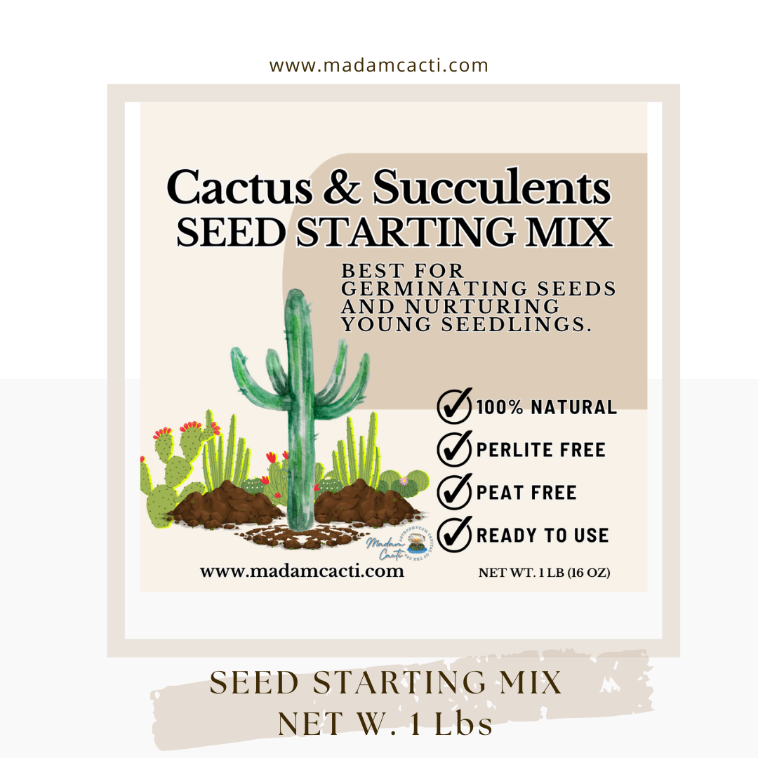 Seed Starting Mix For Cactus & Succulents 1Lb  Madam Cacti