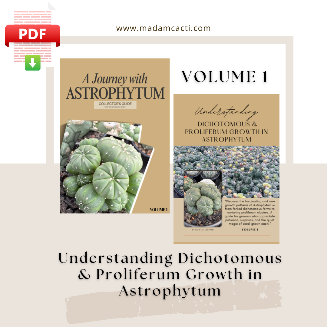 Understanding Dichotomous & Proliferum Growth in Astrophytum – A journey with Astrophytum Volume 1